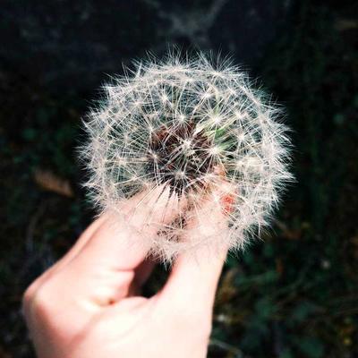 网络化科技科技