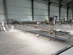 国内知名红薯粉皮加工设备选购指南 厂家、价格与销售热线